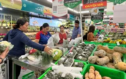 TP. Hồ Chí Minh kích cầu tiêu dùng nội địa cao điểm hè