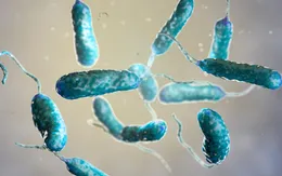 Hàn Quốc có ca tử vong đầu tiên do vi khuẩn “ăn thịt người” trong năm 2024