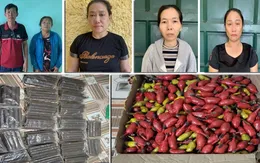 Phá đường dây mua bán trái phép vật liệu nổ từ Tây Nguyên về Thanh Hóa tiêu thụ