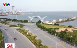 Trồng cây ăn quả trên đường phố