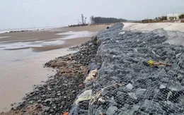 Trà Vinh: Công bố tình huống khẩn cấp sự cố sạt lở bờ sông khu vực ấp Bà Trầm