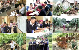 Đa dạng hóa mô hình sinh kế để giảm nghèo bền vững