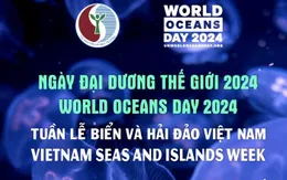 Ngày Đại dương thế giới 2024: đánh thức hiểu biết về giá trị xanh bền vững