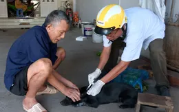 Đồng Nai ghi nhận 2 ổ chó dại cắn nhiều người