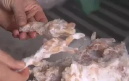 Liên tiếp thu giữ hàng chục tấn thực phẩm bẩn