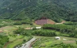 Phương thức ''tờ giấy trắng'' và những lỗ hổng trong quản lý rừng phòng hộ