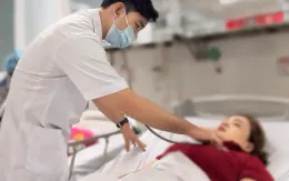 Người phụ nữ bị hơn 20 con ong vò vẽ đốt nguy kịch