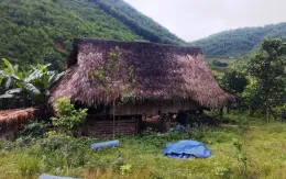 Lập chòi, lán mua bán số lượng lớn ma túy trong rừng sâu