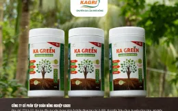 Ka Green - Phân bón sinh học thế hệ mới