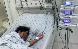 Bị ong vò vẽ đốt khi chơi ở sân nhà, bé gái nhập viện nguy kịch
