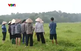 UBND huyện Ba Vì xác nhận nhiều hộ thiếu ruộng sau dồn điền đổi thửa