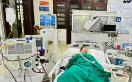 Suýt mất mạng vì bị rắn cạp nia cắn khi đang ngủ