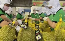 Cơ hội lớn để nông sản Việt “vươn xa”