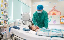 Bé gái 7 tuổi vượt suy thận mạn giai đoạn cuối nhờ quả thận bà nội hiến tặng