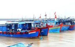 Đầu tư 5 trung tâm nghề cá lớn