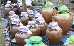 Lưu giữ và phát triển hương vị mắm cáy xứ đông