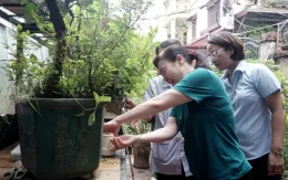 Hà Nội tiếp tục tăng cường chiến dịch vệ sinh môi trường để phòng chống dịch bệnh