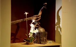 Ikebana - Nghệ thuật cắm hoa Nhật Bản