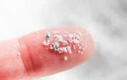 Có cần lo lắng khi cơ thể bạn chứa nhiều vi nhựa?