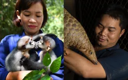 Viết tiếp tương lai cho những số phận động vật hoang dã tại Vườn quốc gia Cúc Phương