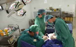 Cần xác định sớm giới tính cho con