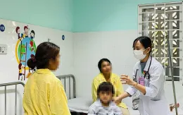 TP Hồ Chí Minh: Tăng cường đảm bảo an toàn vệ sinh thực phẩm trong trường học