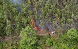 Quảng Bình: Cơ bản kiểm soát được đám cháy rừng sau 25 giờ dập lửa