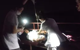 Bị rắn cạp nong cắn khi ra thăm ruộng