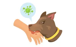 Hà Nội: Bệnh dại đang có diễn biến phức tạp trên động vật