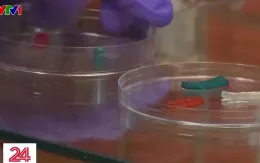 Cấy pin “thạch” vào cơ thể để trị bệnh