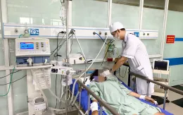 Cô gái trẻ sốc phản vệ nguy kịch sau khi bị ong đốt