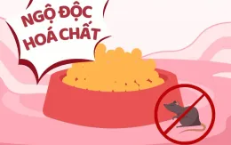 Hiểm họa khôn lường từ ngộ độc hóa chất ở trẻ em