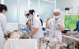 Hai vụ tai nạn liên tiếp trên cao tốc TP Hồ Chí Minh - Trung Lương, nhiều nạn nhân nhập viện