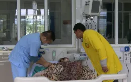 Lào Cai tăng cường phòng chống viêm não virus, viêm não Nhật Bản