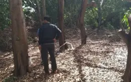 Một người tử vong trong Khu bảo tồn Thiên nhiên Bình Châu - Phước Bửu