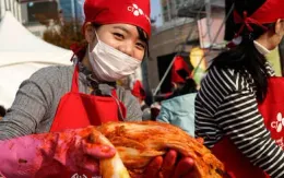 Món kim chi của Hàn Quốc có thể “biến mất” vì biến đổi khí hậu