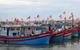 VIDEO: Cách neo đậu tàu, thuyền tránh trú bão