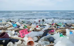 Thế giới thải ra 57 triệu tấn rác thải nhựa mỗi năm