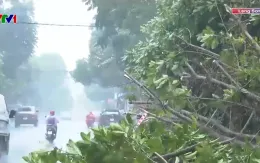 Ảnh hưởng bão số 3, Lạng Sơn có 3 người bị thương, 321 hộ bị thiệt hại nhà ở