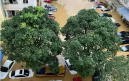 Ô tô gặp sự cố do bão gây ra được bồi thường như thế nào?