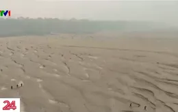 Brazil trải qua đợt hạn hán tồi tệ nhất từ trước đến nay