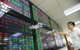 VN-Index giằng co, thanh khoản giảm mạnh