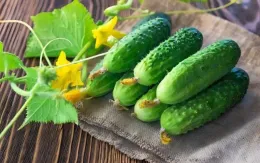 4 loại hoa quả tốt cho phụ nữ