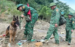 Đưa chó nghiệp vụ đến Nậm Tông (Lào Cai) tìm nạn nhân mất tích