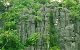 Quảng Bình: Xây dựng hồ sơ đề cử Khu dự trữ sinh quyển thế giới Phong Nha - Kẻ Bàng