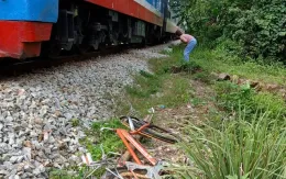 Người phụ nữ đi xe đạp bị tàu hỏa tông tử vong