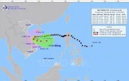 Bão số 6 giật cấp 12 trên vùng biển Quảng Trị đến Quảng Nam