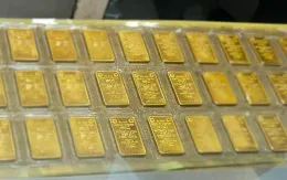 Truy tố cựu thủ quỹ ngân hàng tham ô 246 lượng vàng SJC