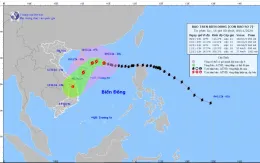 Bảo đảm thông tin liên lạc thông suốt phục vụ công tác điều hành, ứng phó bão Yinxing