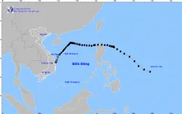 Tin cuối cùng về cơn bão số 7